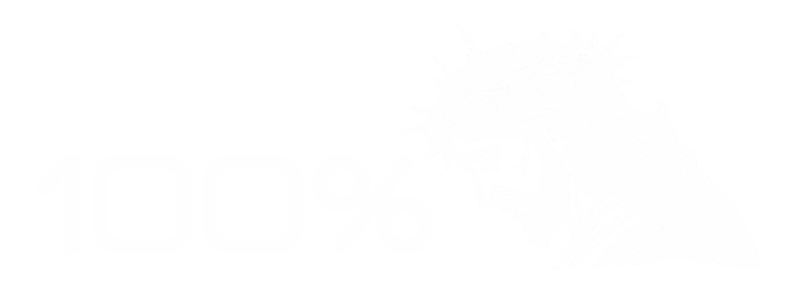 100% Jesus